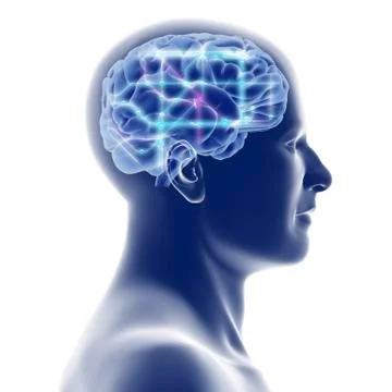 Head with brain and network diagram Stock Illustration