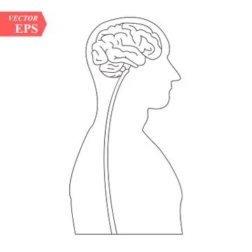 Head with brain vector icon EPS10. Simple isolated silhouette symbol. Stock Illustration