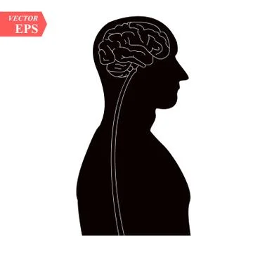 Head with brain vector icon EPS10. Simple isolated silhouette symbol. Illustrazione stock