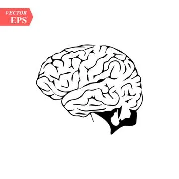 Head with brain vector icon EPS10. Simple isolated silhouette symbol. Illustrazione stock