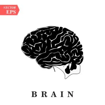 Head with brain vector icon EPS10. Simple isolated silhouette symbol. Stock Illustration