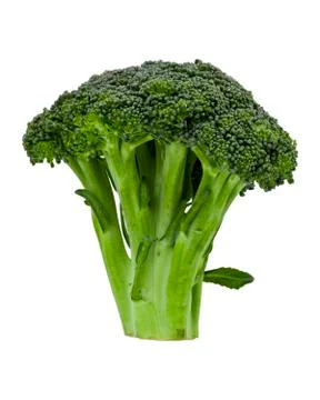 Head of broccoli Stock Photos