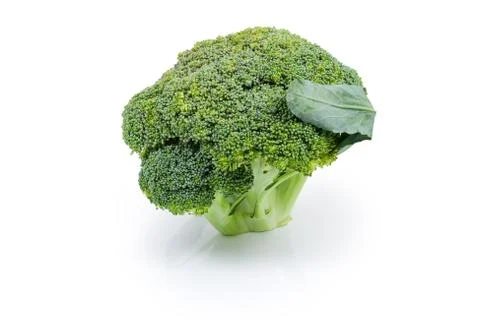 Head of broccoli on a white background Stock Photos