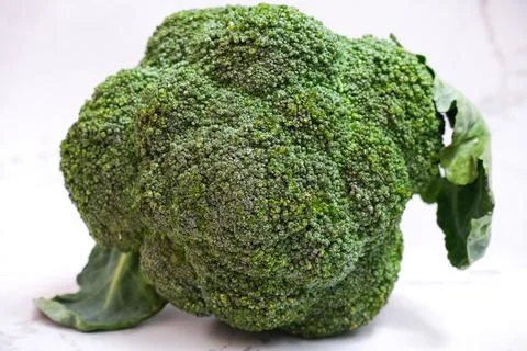 Head of broccoli with white background. Stock Photos