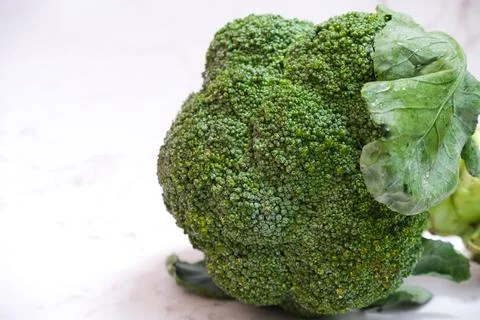 Head of broccoli with white background. Stock Photos
