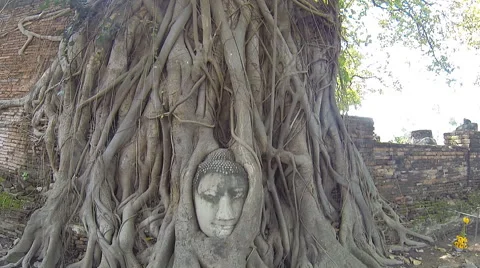 Head Buddha made of sandstone. Stock-Footage 40660657