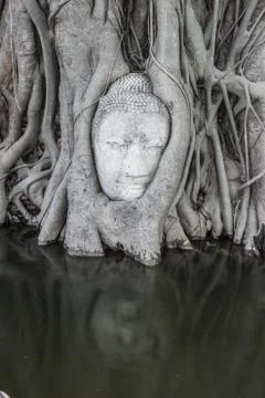 Head of buddha Stock Photos