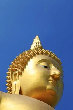 Head of Buddha Stock Photos