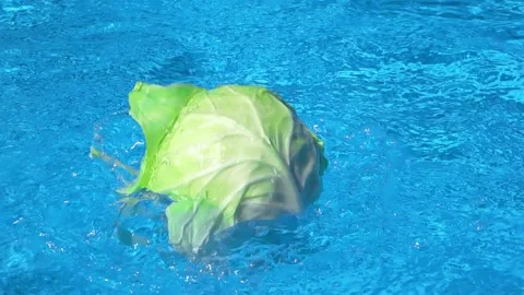 Head of cabbage falls into the water 스톡 동영상 146627240