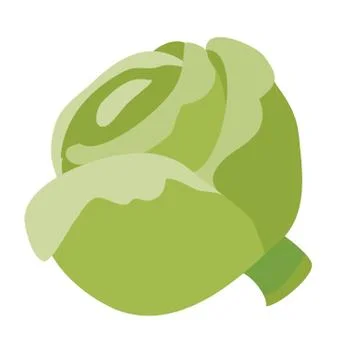 Head of cabbage, flat, isolated object on a white background, vector Ilustración de archivo