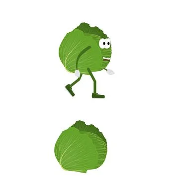 Head of cabbage Ilustración de archivo