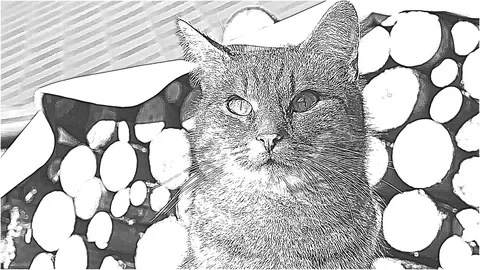 Head of the cartoon wild cat Video stock 104302999