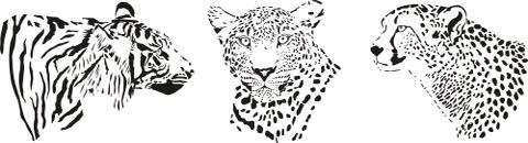 Head of cheetah, leopard and tiger Stock-Illustration