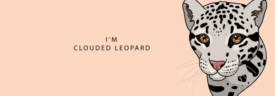 The head of a clouded leopard looks seriously to the side on a beige background Stock Illustration
