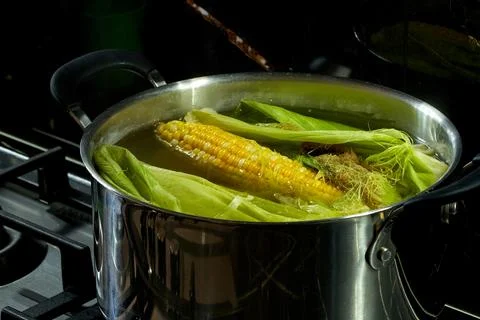A head of corn is boiled in a saucepan in the kitchen Stock Photos