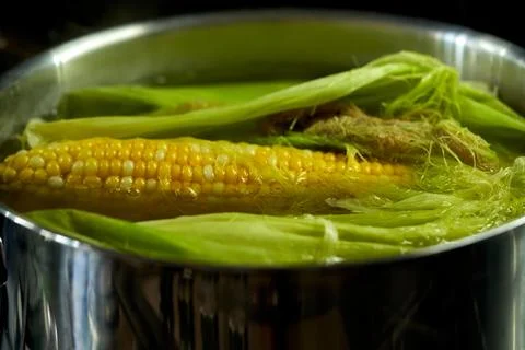 A head of corn is boiled in a saucepan in the kitchen Stock Photos