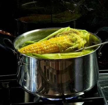 A head of corn is boiled in a saucepan in the kitchen Stock Photos