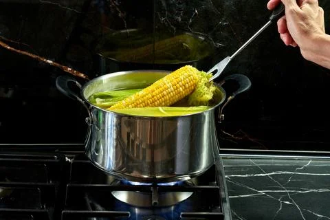 A head of corn is boiled in a saucepan in the kitchen Stock Photos