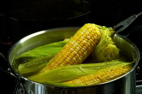 A head of corn is boiled in a saucepan in the kitchen Stock Photos