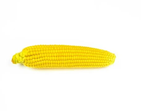 Head of corn isolated on white background Stock Photos