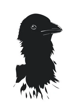 Head of crow Illustration