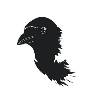 Head of crow Stock Illustration