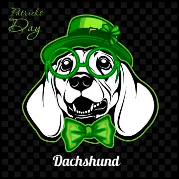 Head of a Dachshund Dog and elements of St. Patricks Day. Vector illustration Stock Illustration