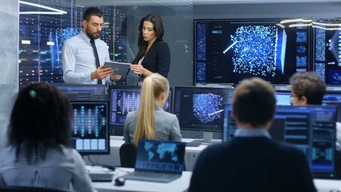 Head of the Department and Project Manager Discuss Work Process Using Data. Stock Footage 81272997