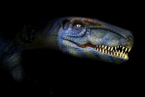 The head of dinosaur in the dark background Stock Photos