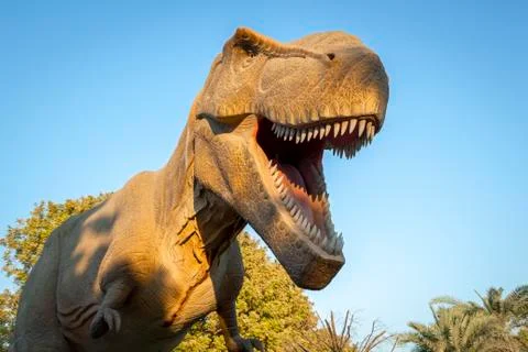 The head of a dinosaur Stock Photos
