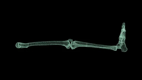 Head Up Display of Advance Human Biomedical Diagnostic Leg Bone Stock Footage 121900077