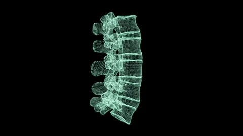 Head Up Display of Advance Human Biomedical Diagnostic Backbone Vertebrate Video stock 121900128