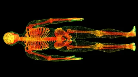Head Up Display of Advance Human Biomedical Diagnostic Human Body and Skeleton Stock Footage 121907480