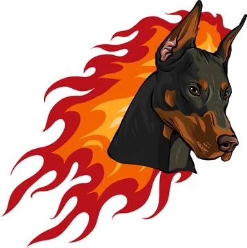 Head of dobermann dog with Flames vector illustration Illustrazione stock