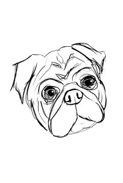Head dog Pug Stock Illustration