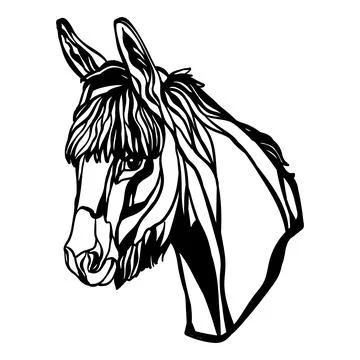 Head of donkey illustration template vector Illustrazione stock