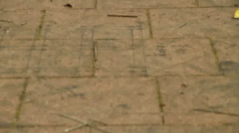 Head of the Dragon Lantern Stock Footage 10594471