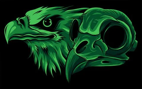 Head of an Eagle and skull vector illustration 스톡 일러스트