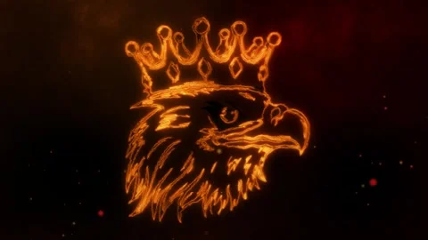 Head of Eagle with crow in fire line Stock Footage 243820319