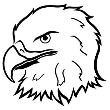 Head of Eagle Stock Illustration