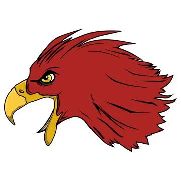 Head eagle Stock Illustration