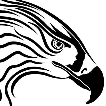 Head of Eagle with Massive Beak Stock Illustration