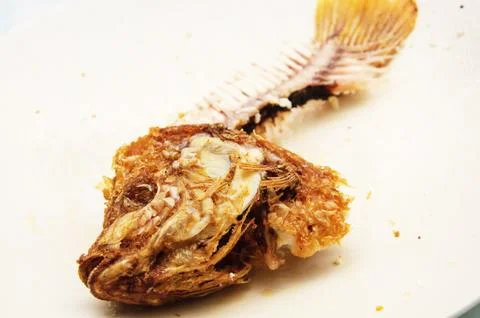 Head fish and bone Stock Photos