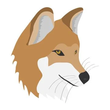 Head of fox Stock Illustration