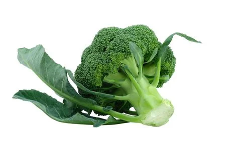 Head of fresh raw broccoli isolate. Green broccoli with leaves. Stock Photos
