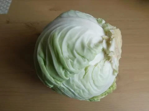 A head of fresh white cabbage on the table. Stock Photos