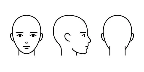 Head full face, profile and back line icon. Unisex head template without hair Stock Illustration
