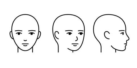Head full face, profile line icon. Unisex head template rotate without hair.  Stock Illustration