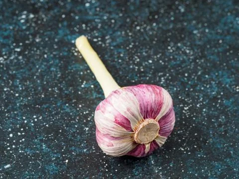 Head of garlic on dark background. Stock Photos