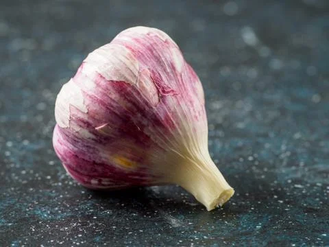 Head of garlic on dark background. Stock Photos